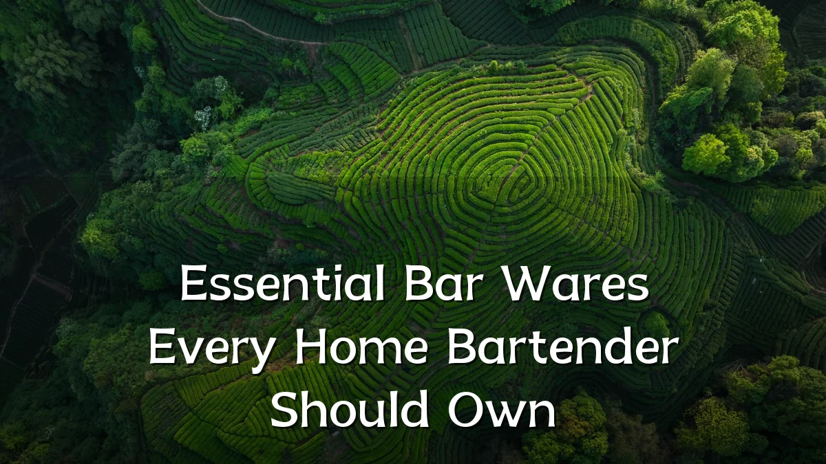 Essential Bar Wares Every Home Bartender Should Own