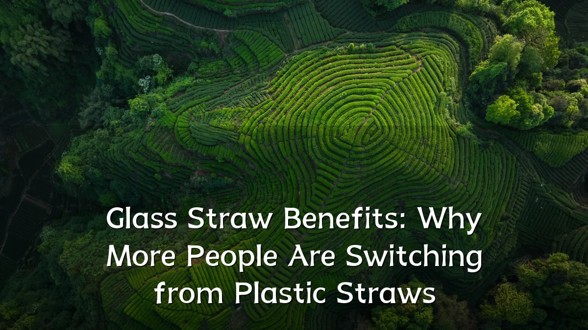 Glass Straw Benefits: Why More People Are Switching from Plastic Straws