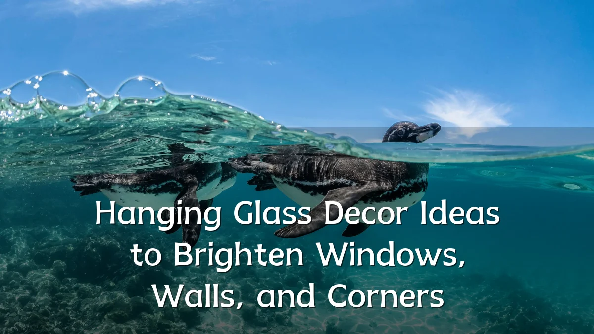 Hanging Glass Decor Ideas to Brighten Windows, Walls, and Corners