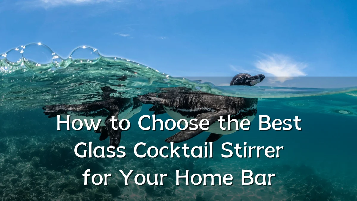 How to Choose the Best Glass Cocktail Stirrer for Your Home Bar