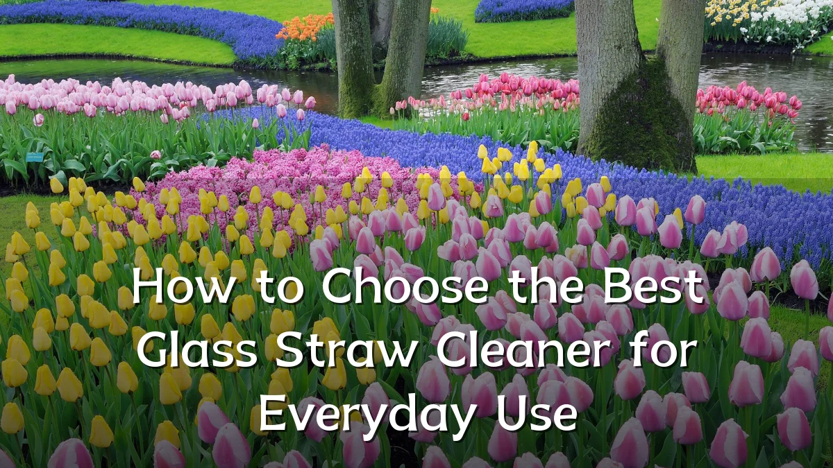How to Choose the Best Glass Straw Cleaner for Everyday Use