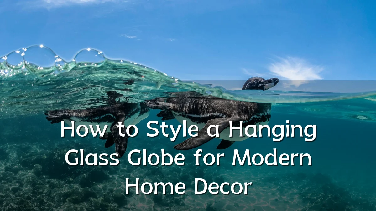 How to Style a Hanging Glass Globe for Modern Home Decor