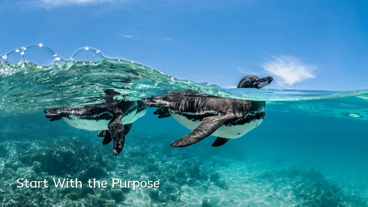 Start With the Purpose