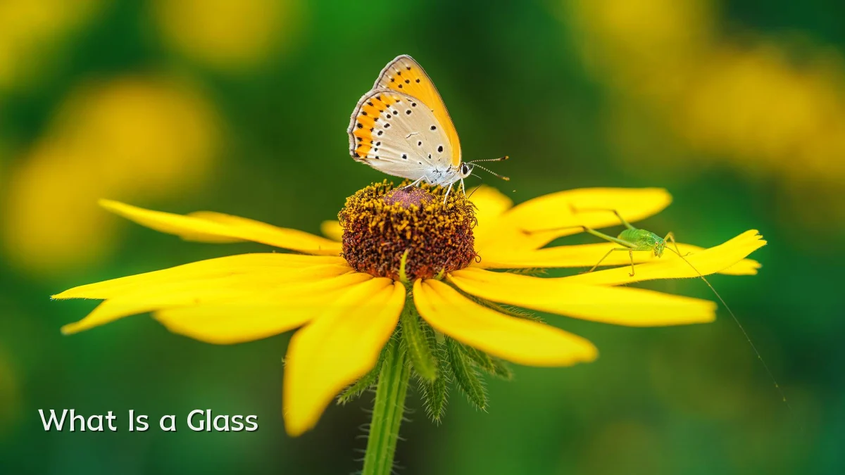 What Is a Glass