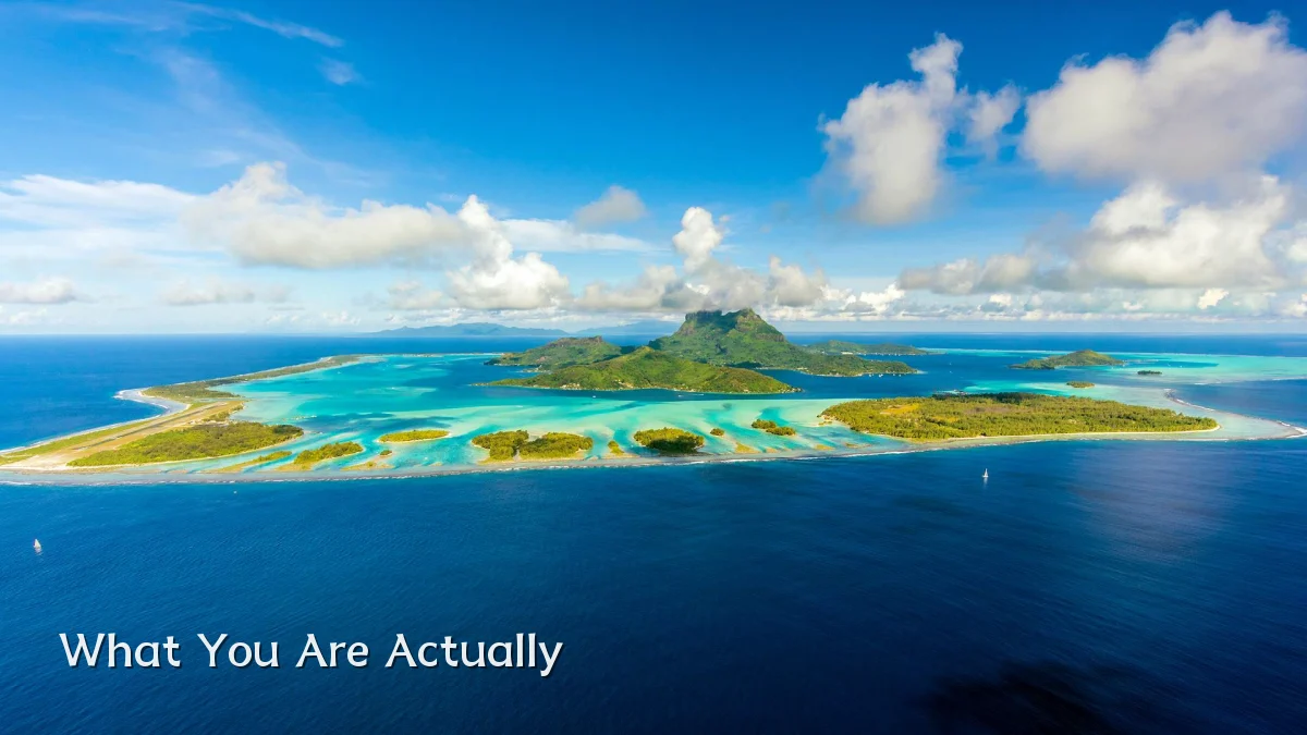 What You Are Actually