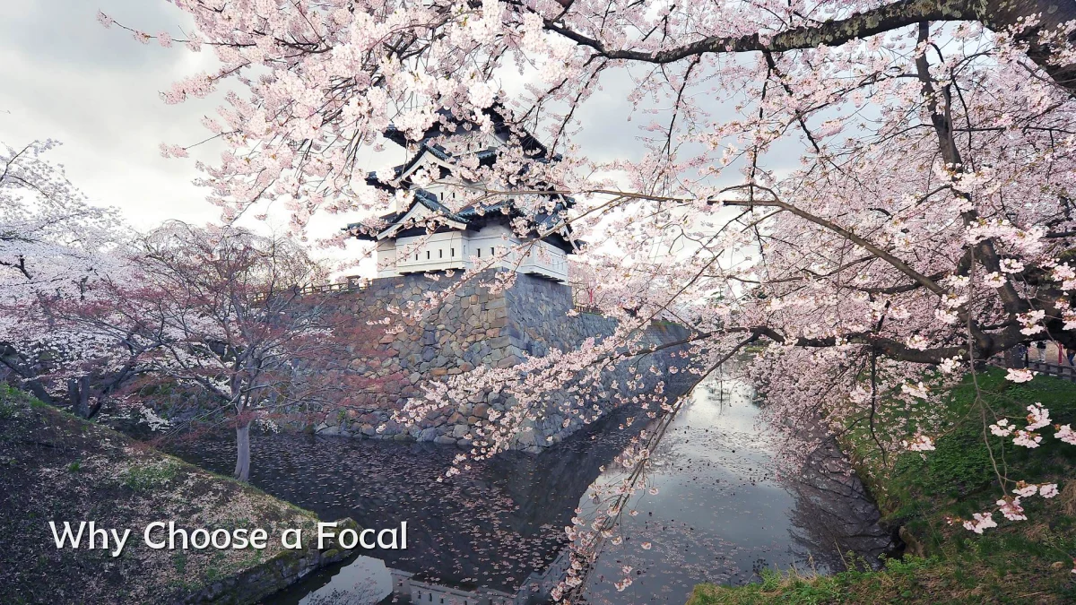 Why Choose a Focal