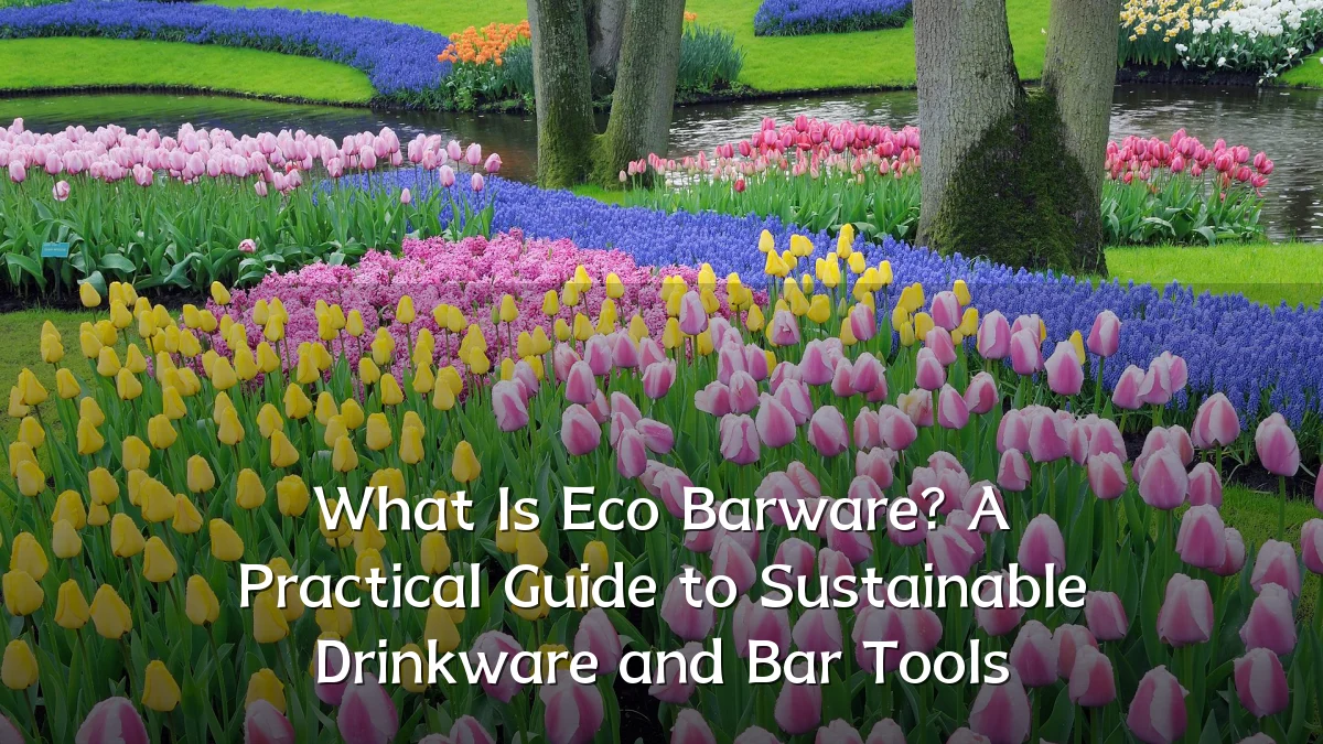 What Is Eco Barware? A Practical Guide to Sustainable Drinkware and Bar Tools