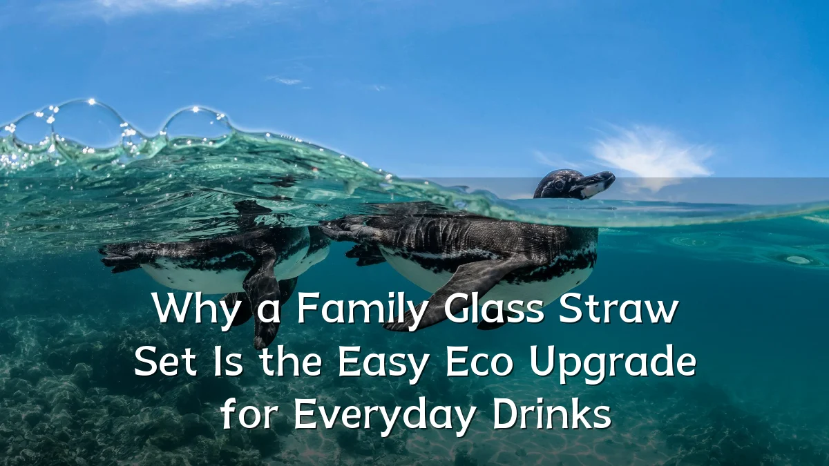 Why a Family Glass Straw Set Is the Easy Eco Upgrade for Everyday Drinks
