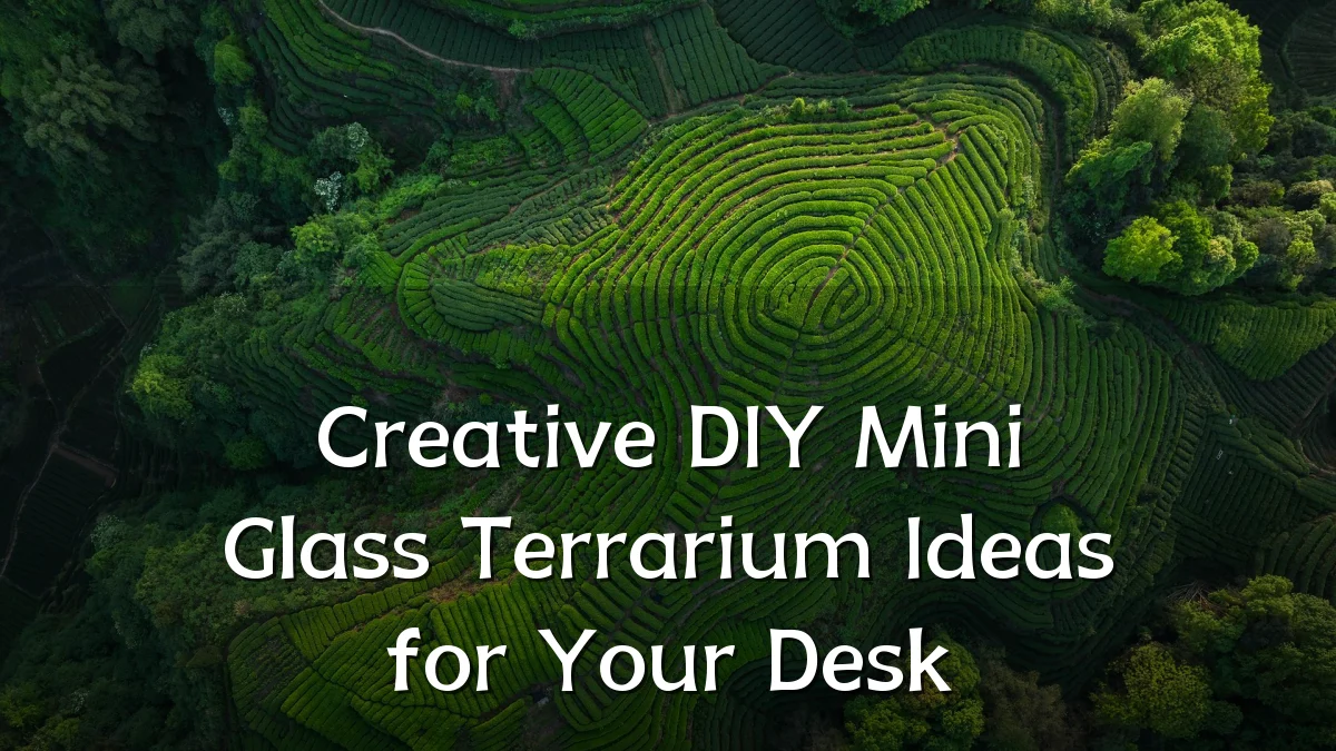 Creative DIY Mini Glass Terrarium Ideas for Your Desk