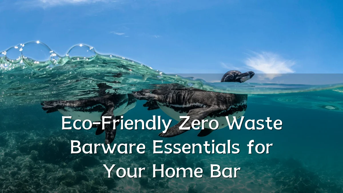 Eco-Friendly Zero Waste Barware Essentials for Your Home Bar