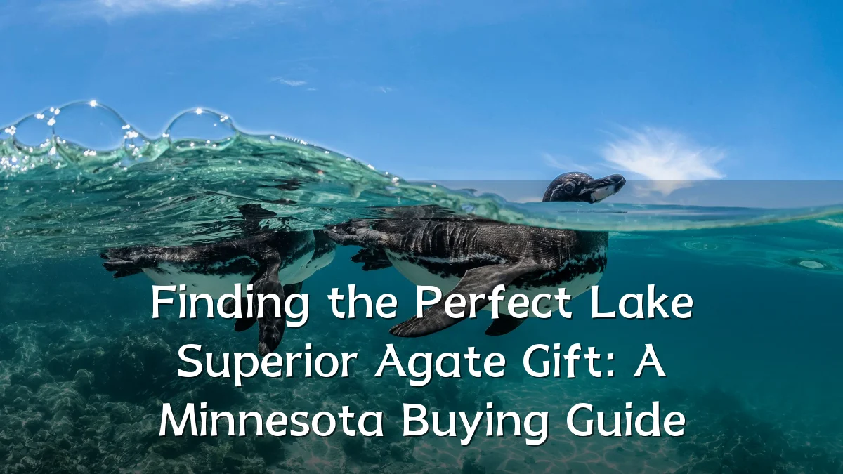 Finding the Perfect Lake Superior Agate Gift: A Minnesota Buying Guide