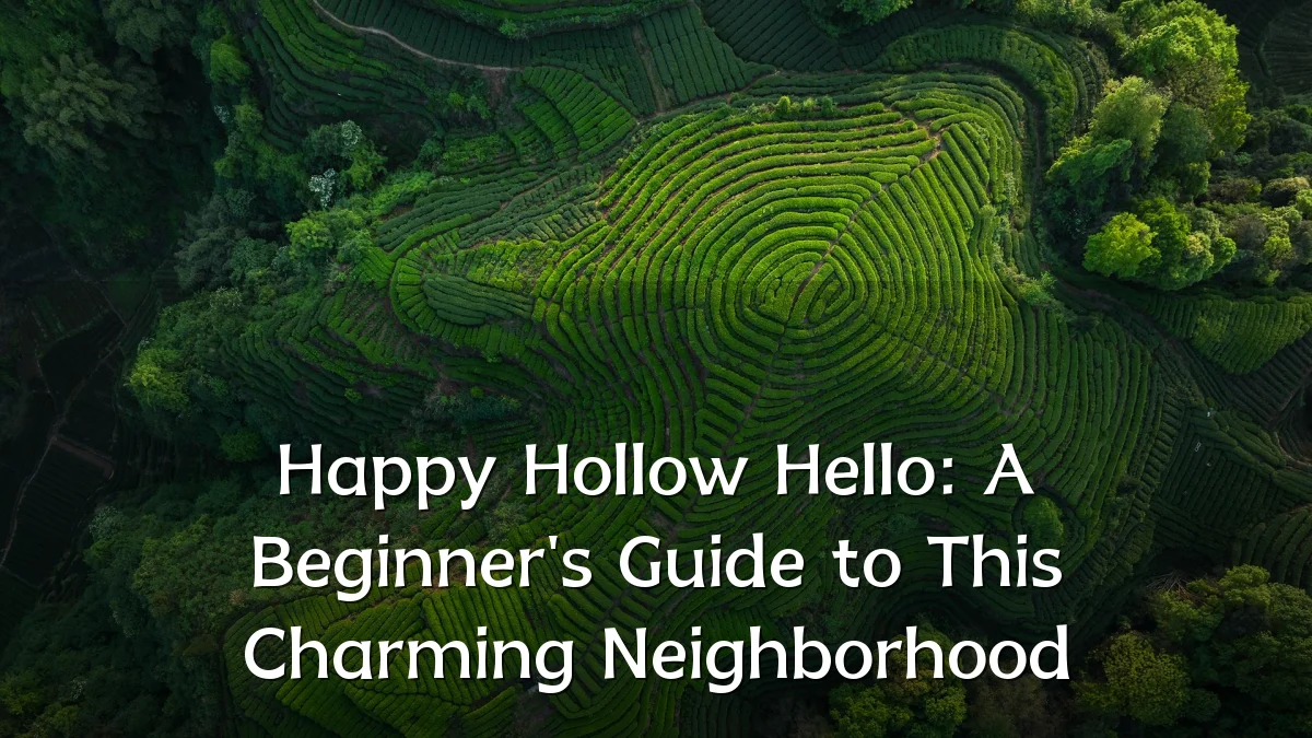 Happy Hollow Hello: A Beginner's Guide to This Charming Neighborhood