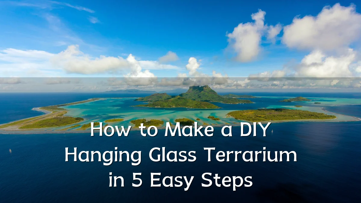 How to Make a DIY Hanging Glass Terrarium in 5 Easy Steps
