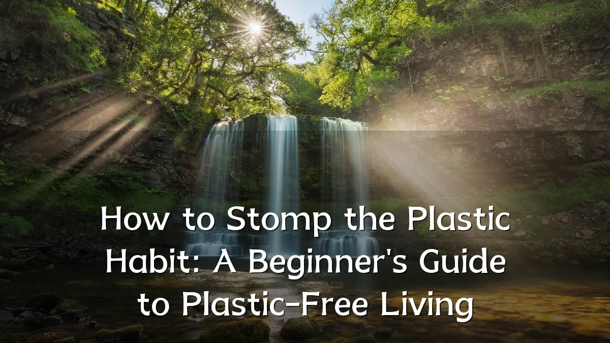 How to Stomp the Plastic Habit: A Beginner's Guide to Plastic-Free Living