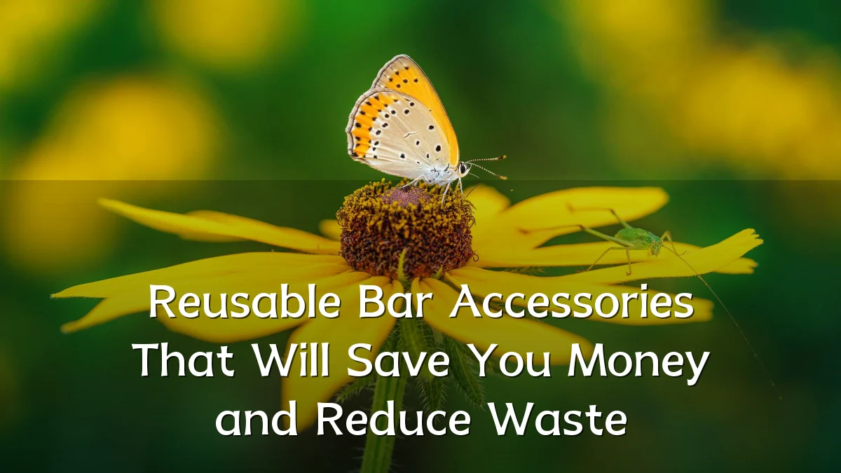 Reusable Bar Accessories That Will Save You Money and Reduce Waste