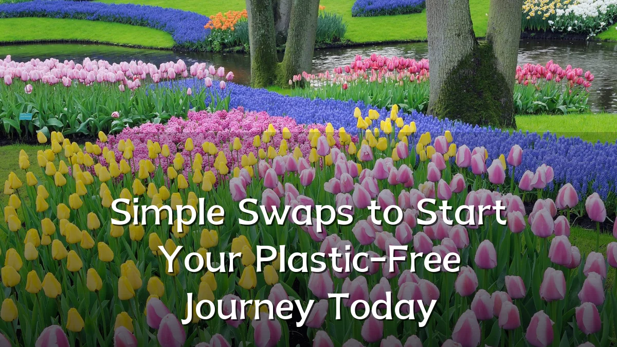Simple Swaps to Start Your Plastic-Free Journey Today