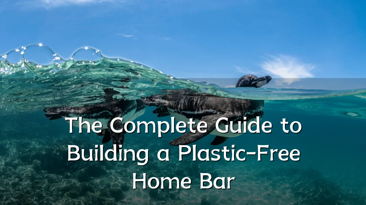 The Complete Guide to Building a Plastic-Free Home Bar