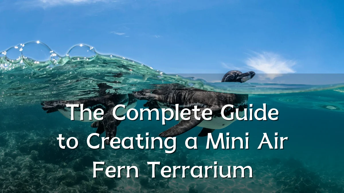 The Complete Guide to Creating a Mini Air Fern Terrarium