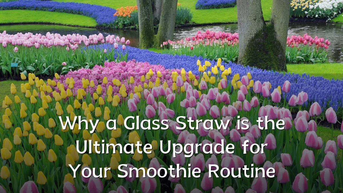 Why a Glass Straw is the Ultimate Upgrade for Your Smoothie Routine