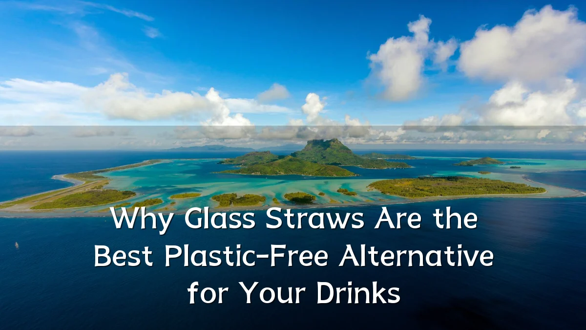 Why Glass Straws Are the Best Plastic-Free Alternative for Your Drinks