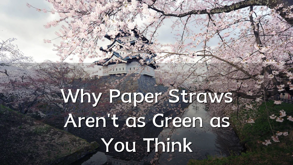 Why Paper Straws Aren't as Green as You Think