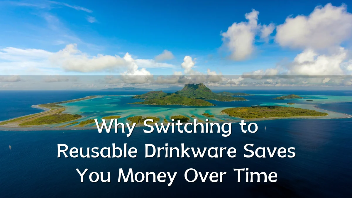 Why Switching to Reusable Drinkware Saves You Money Over Time