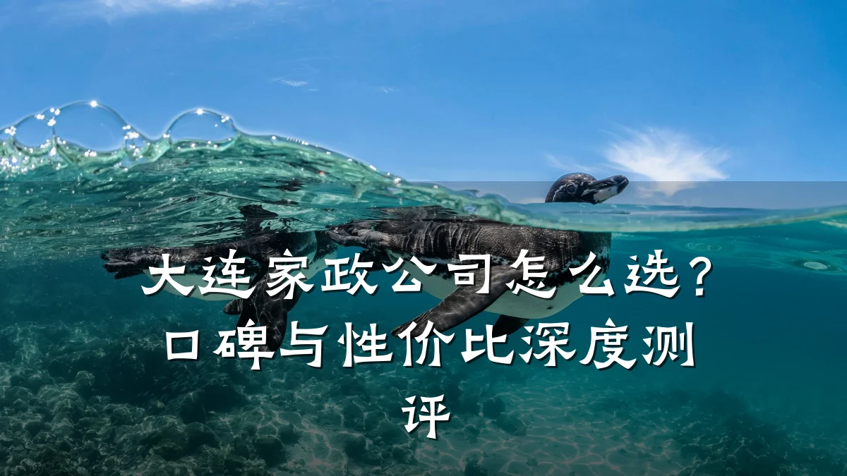 大连家政公司怎么选？口碑与性价比深度测评