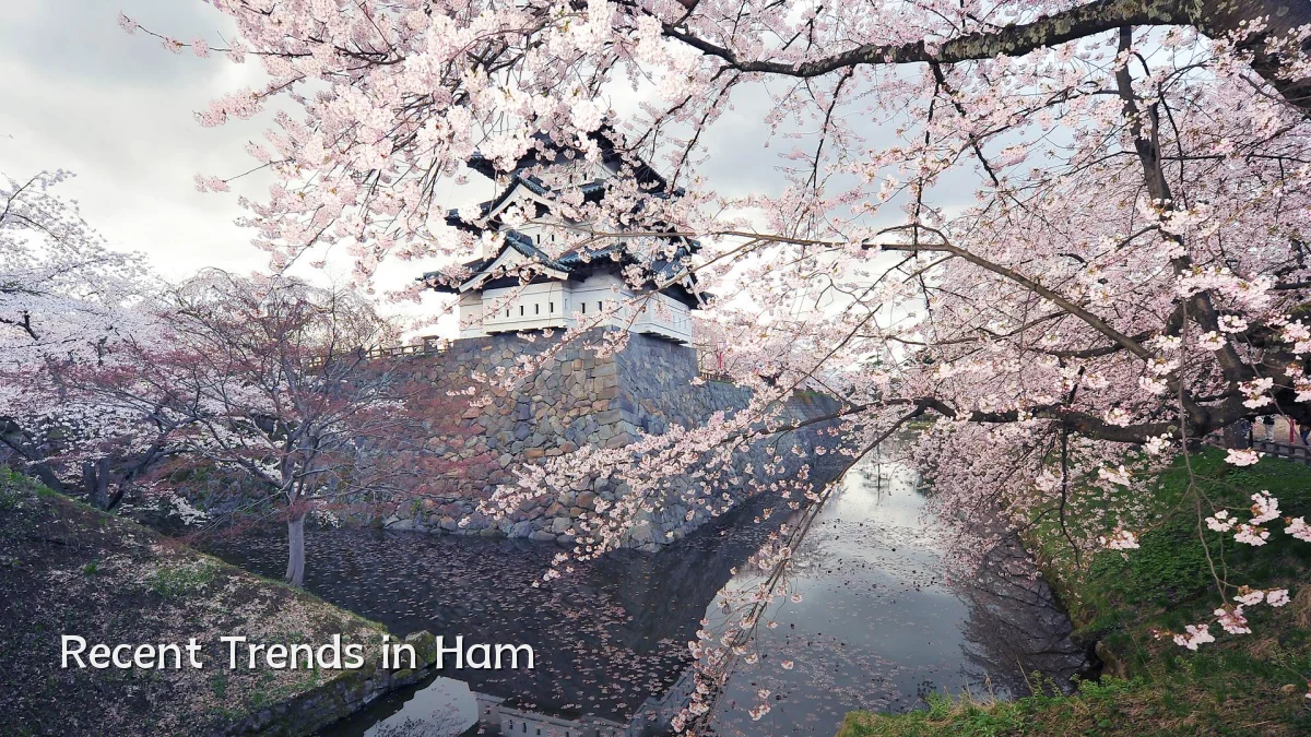 Recent Trends in Ham