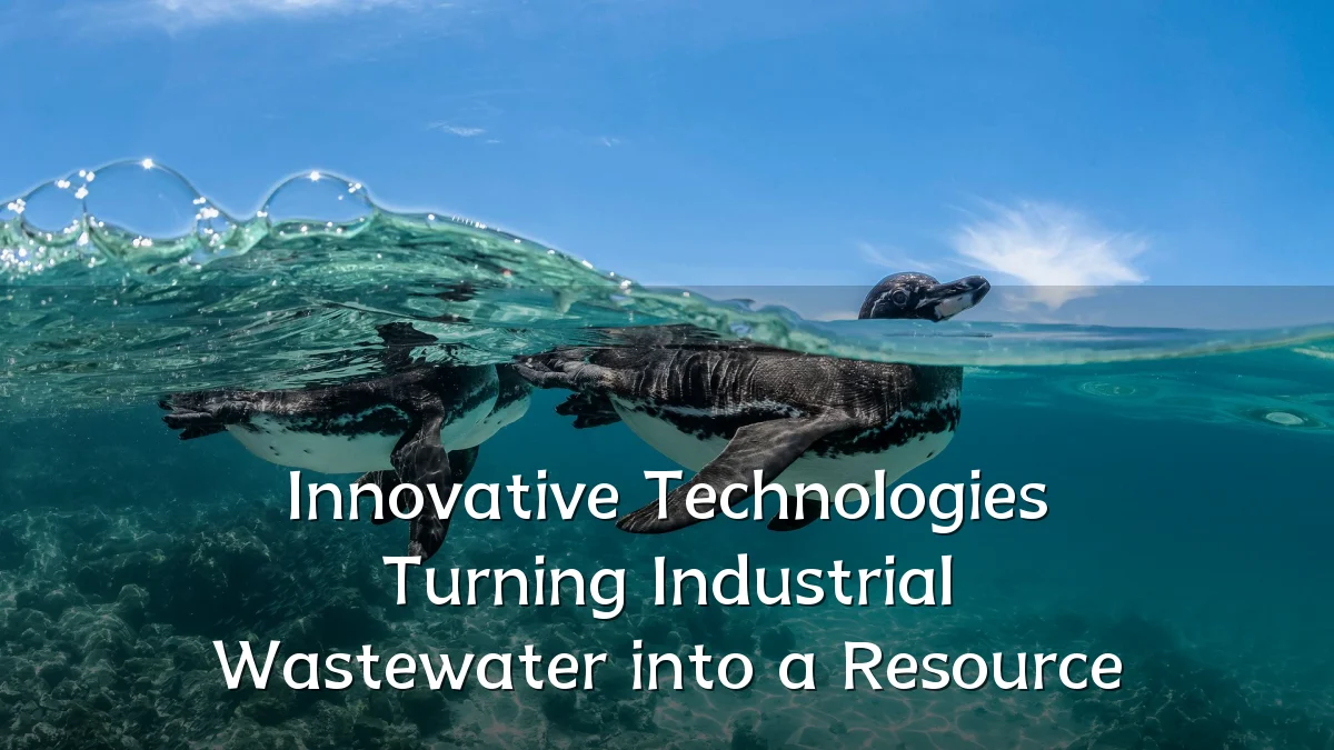 Innovative Technologies Turning Industrial Wastewater into a Resource