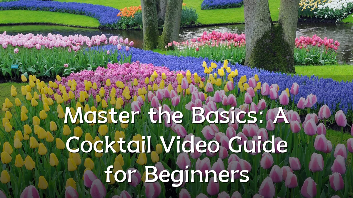 Master the Basics: A Cocktail Video Guide for Beginners