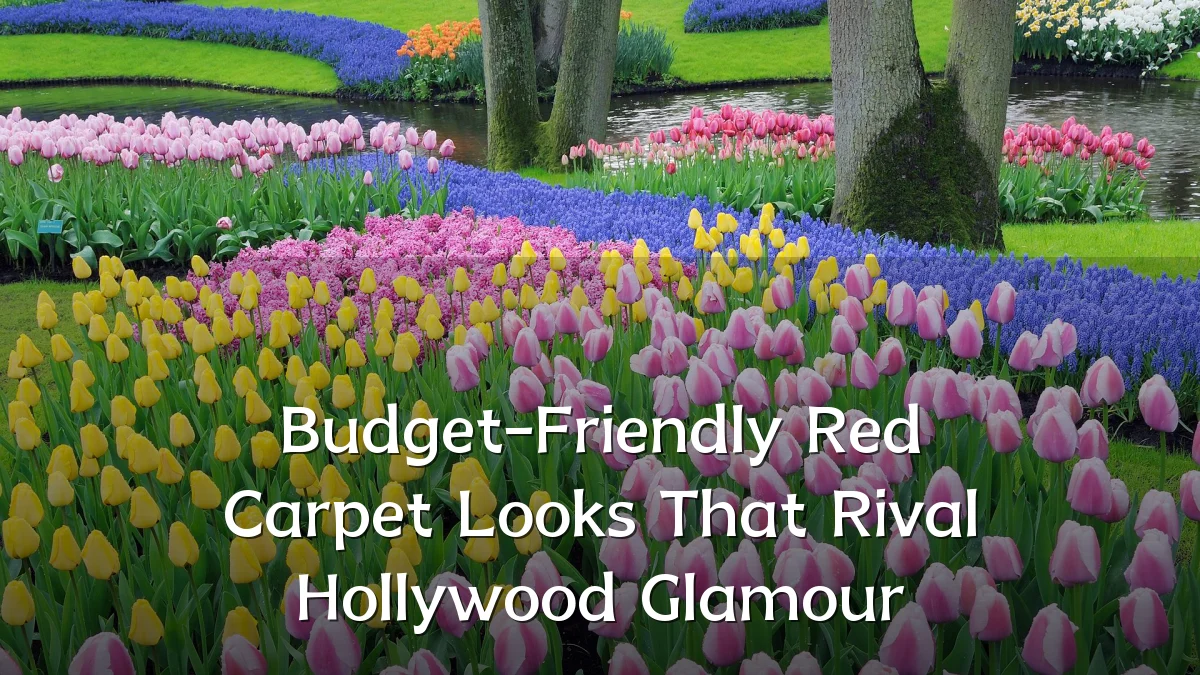 Budget-Friendly Red Carpet Looks That Rival Hollywood Glamour