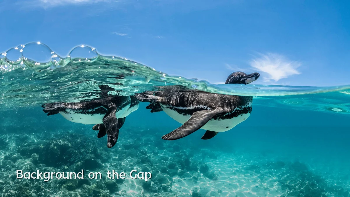 Background on the Gap