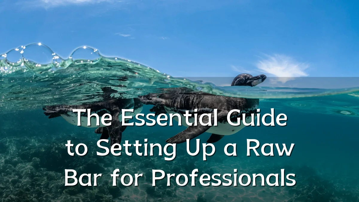 The Essential Guide to Setting Up a Raw Bar for Professionals