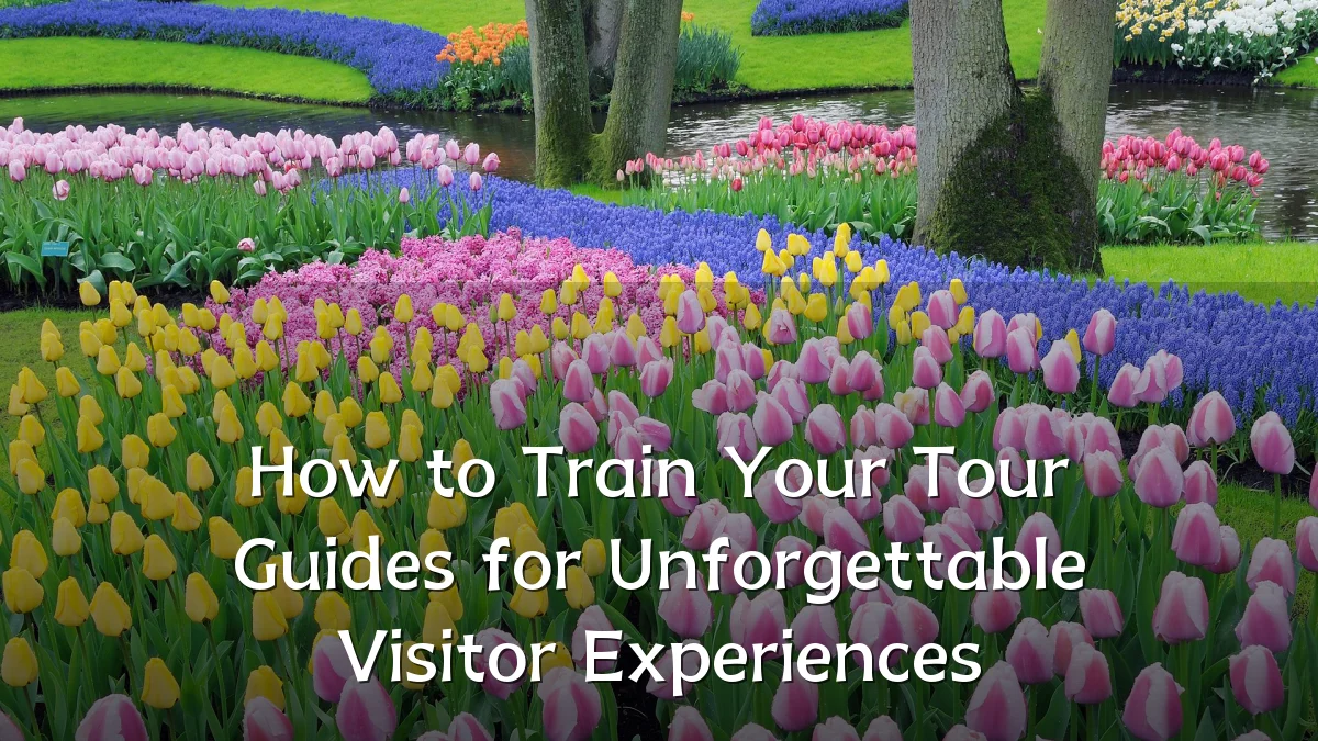 How to Train Your Tour Guides for Unforgettable Visitor Experiences
