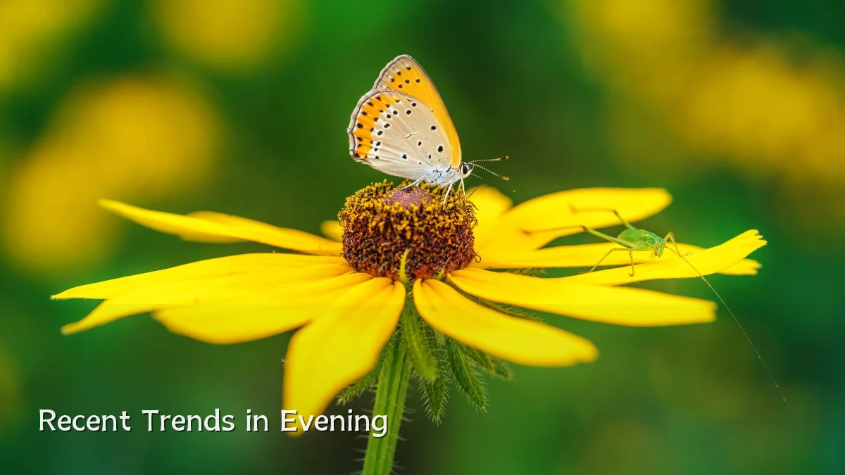 Recent Trends in Evening