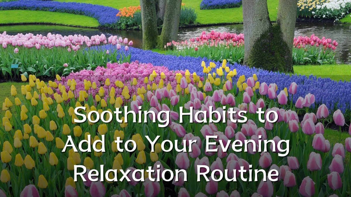 Soothing Habits to Add to Your Evening Relaxation Routine
