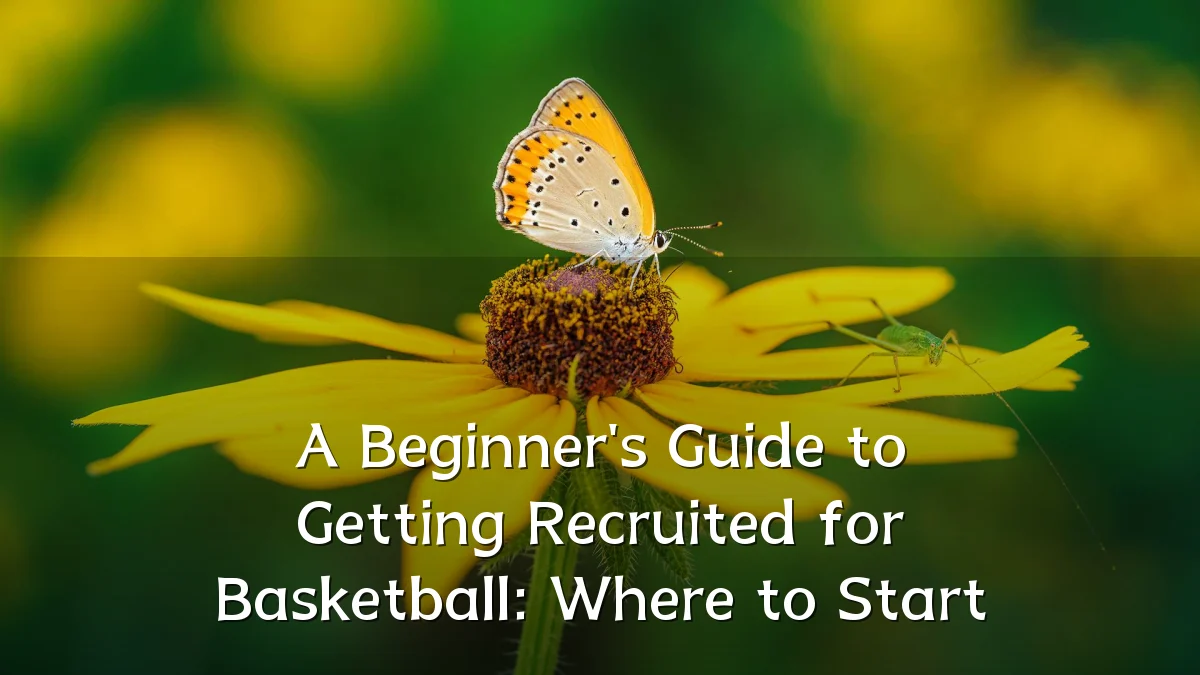 A Beginner's Guide to Getting Recruited for Basketball: Where to Start