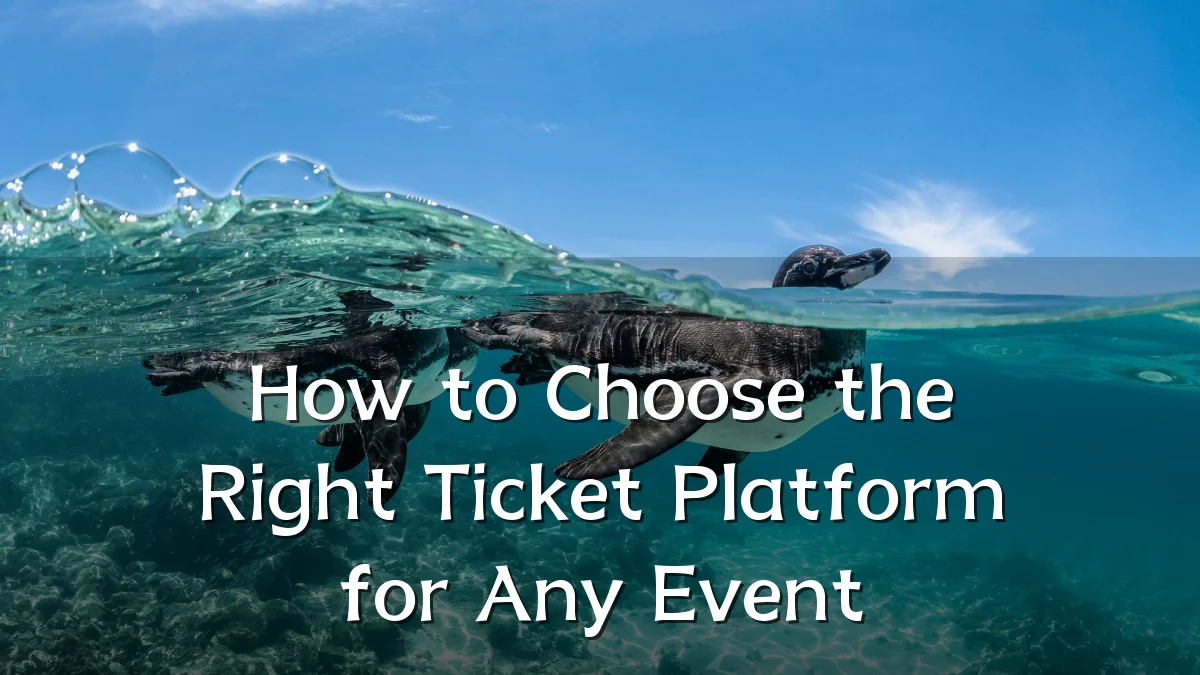 How to Choose the Right Ticket Platform for Any Event