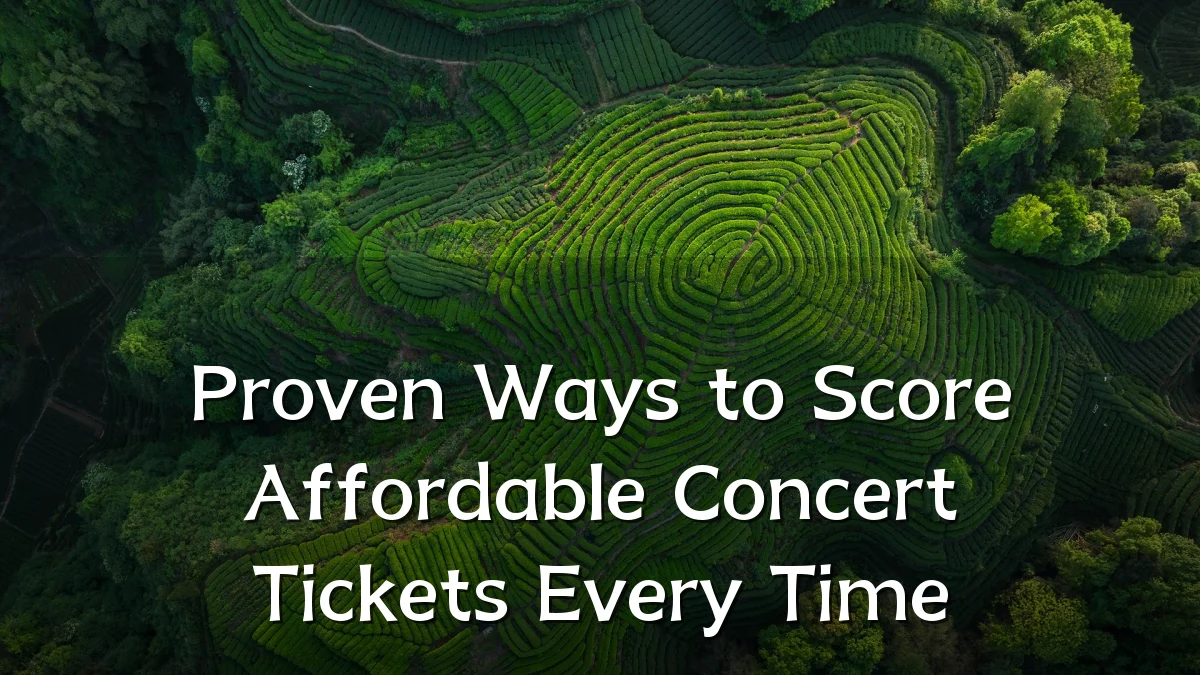 Proven Ways to Score Affordable Concert Tickets Every Time