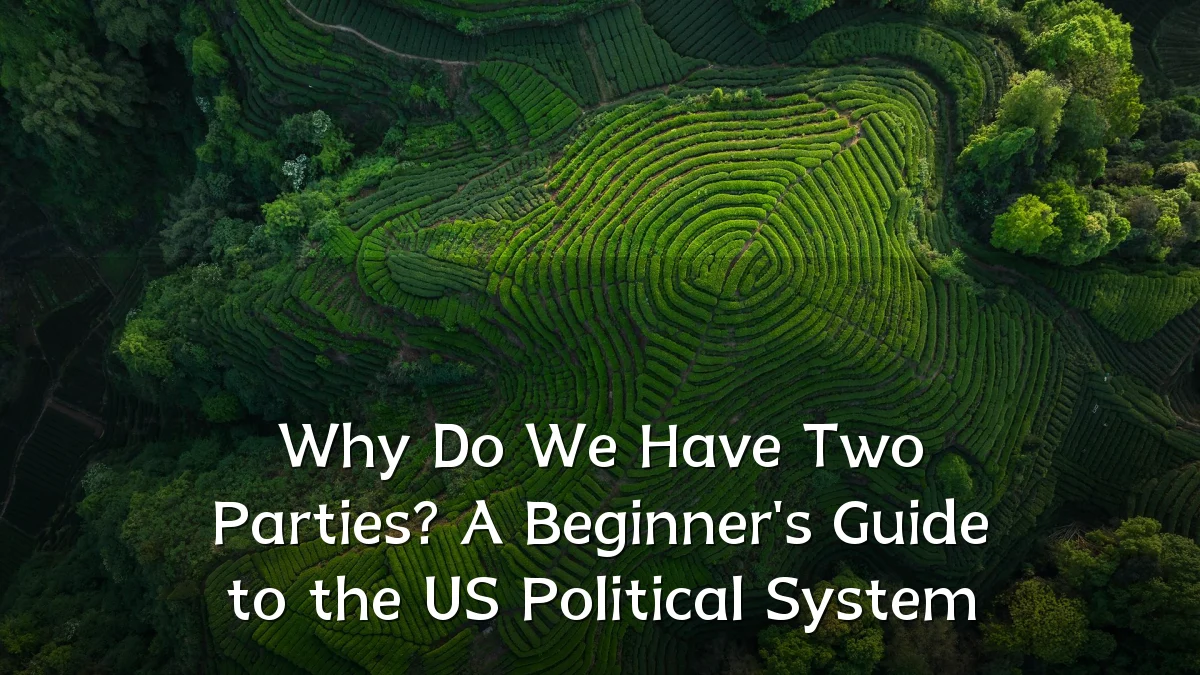 Why Do We Have Two Parties? A Beginner's Guide to the US Political System