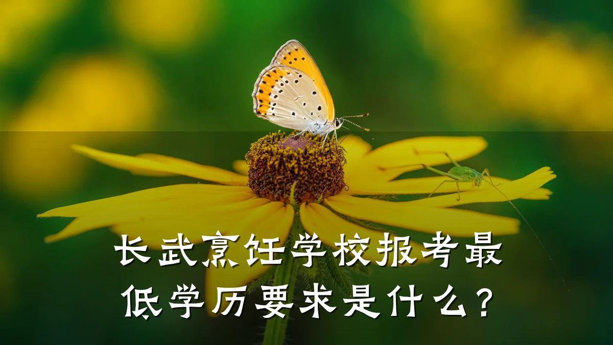 长武烹饪学校报考最低学历要求是什么?