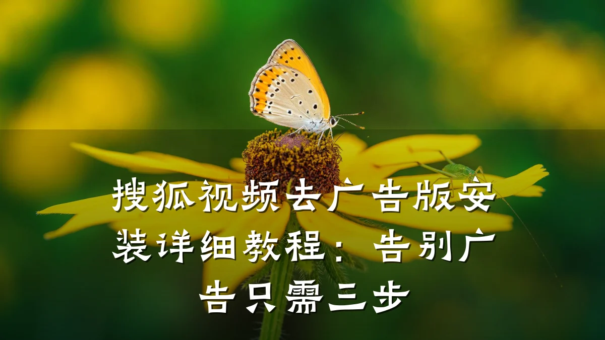 搜狐视频去广告版安装详细教程：告别广告只需三步