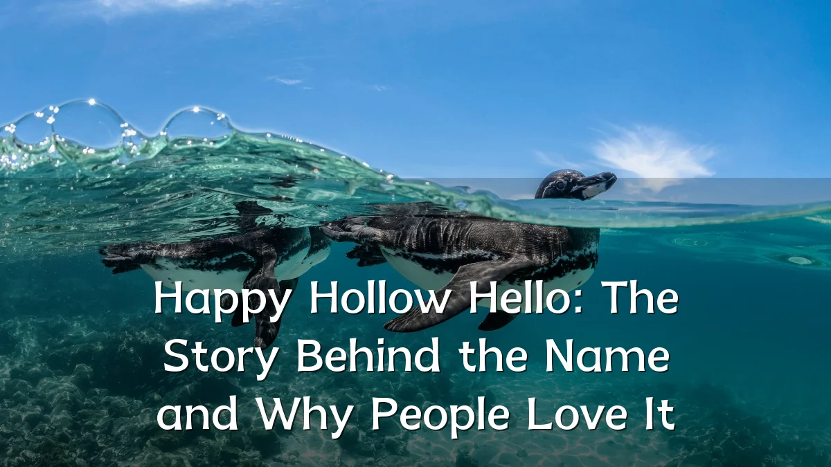 Happy Hollow Hello: The Story Behind the Name and Why People Love It