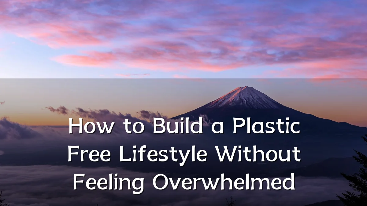 How to Build a Plastic Free Lifestyle Without Feeling Overwhelmed