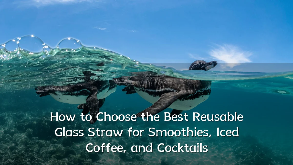 How to Choose the Best Reusable Glass Straw for Smoothies, Iced Coffee, and Cocktails