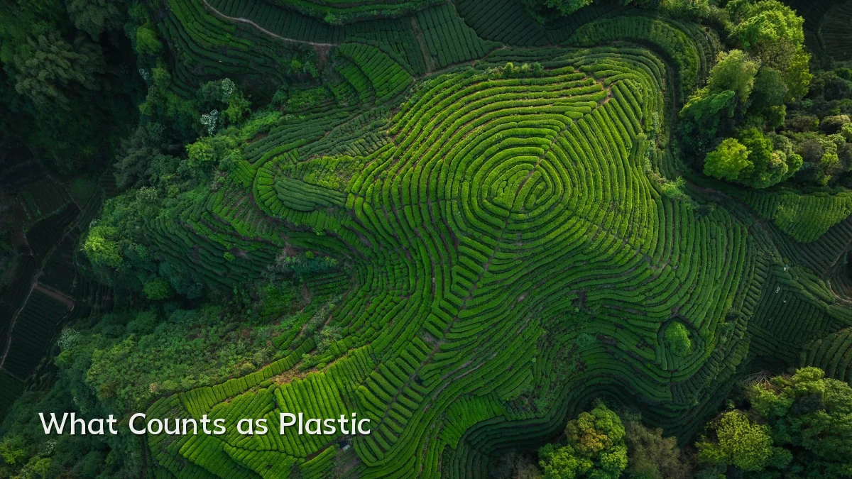 What Counts as Plastic