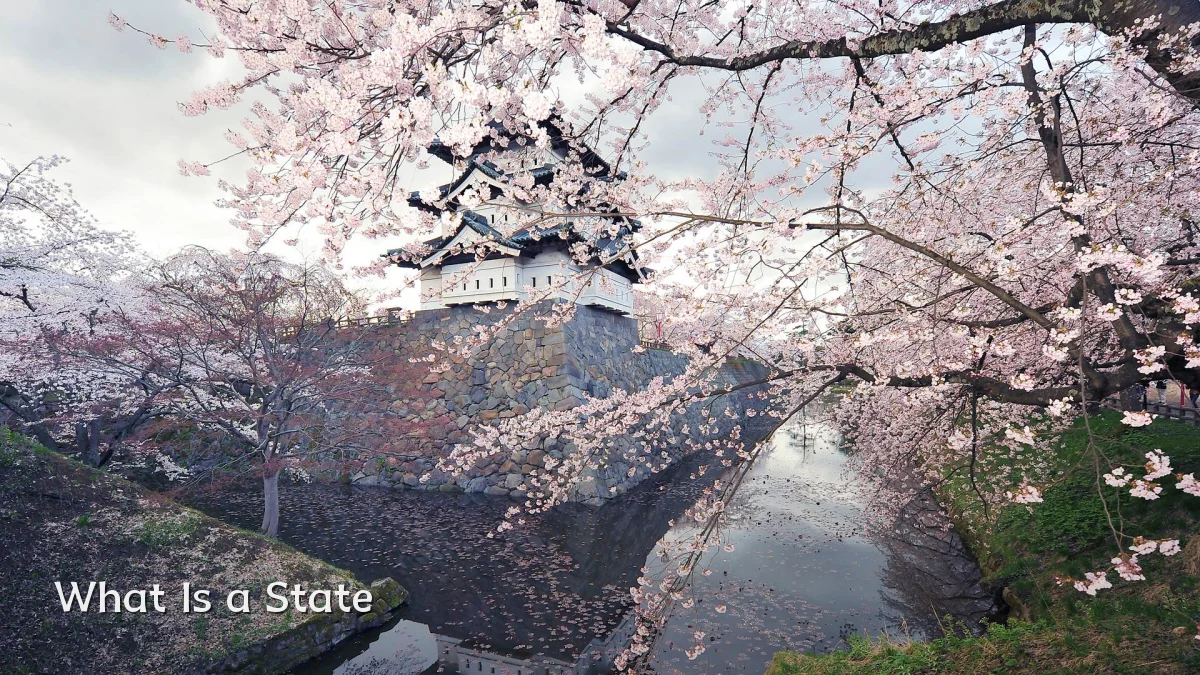 What Is a State