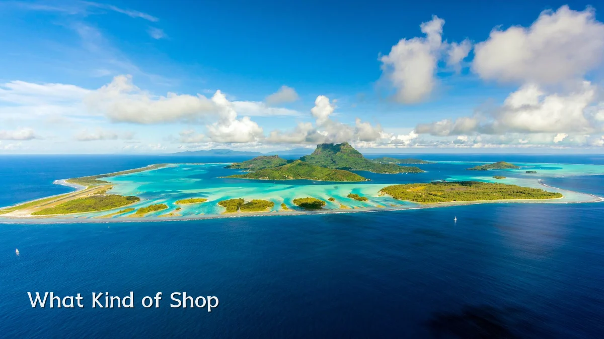 What Kind of Shop