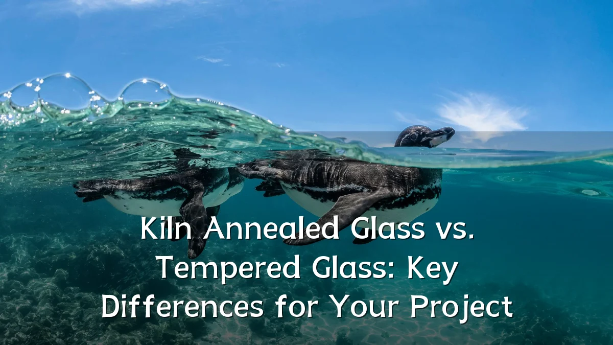 Kiln Annealed Glass vs. Tempered Glass: Key Differences for Your Project