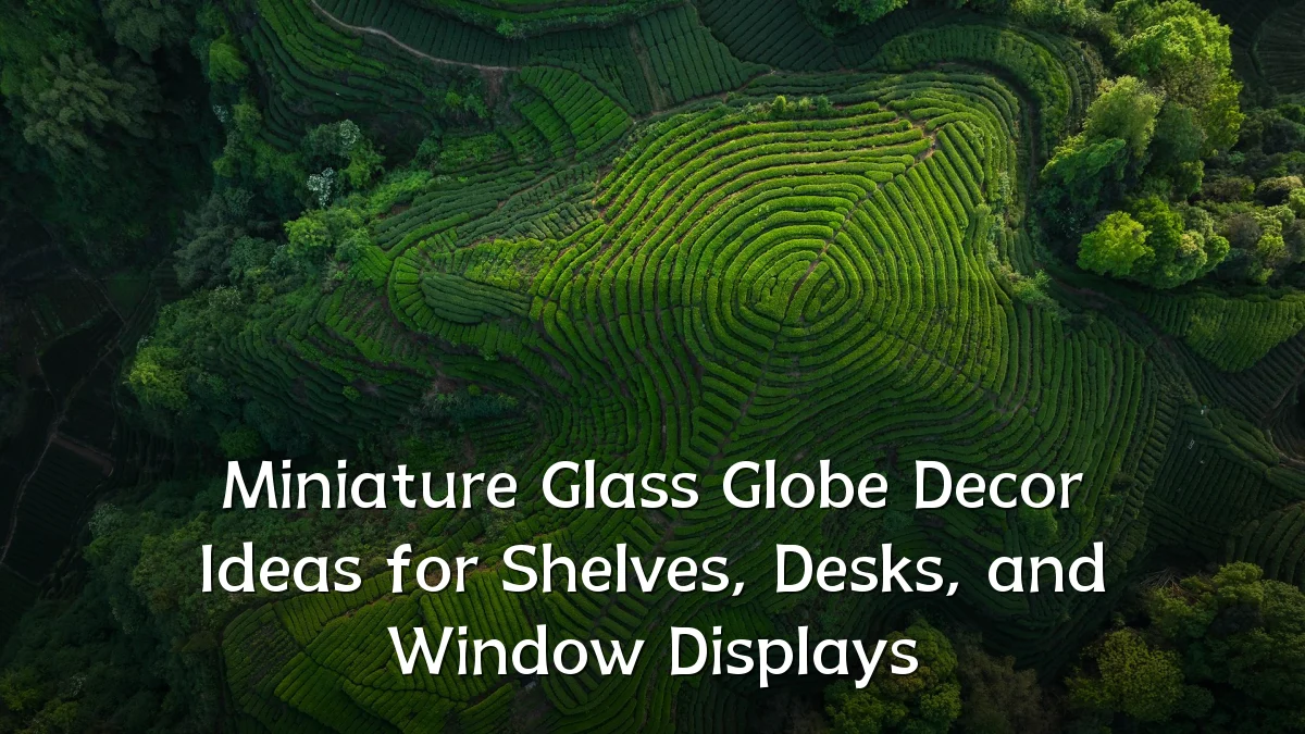 Miniature Glass Globe Decor Ideas for Shelves, Desks, and Window Displays